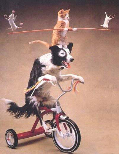 Qui vient avec Moi...?