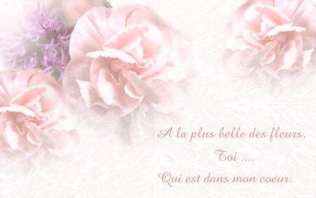 Mon Coeur...