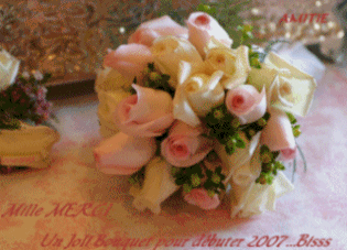 Mille Merci pour Tout les Ami