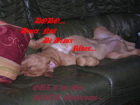 De Beaux R�ves � Tous...