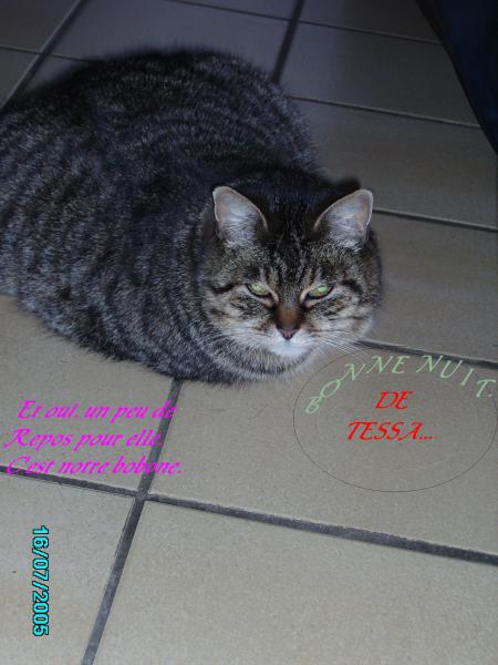 15 ans notre Pti' Chat ...