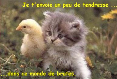 Pour tout le Monde...