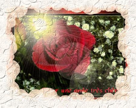 Pour Vous...  Bisous