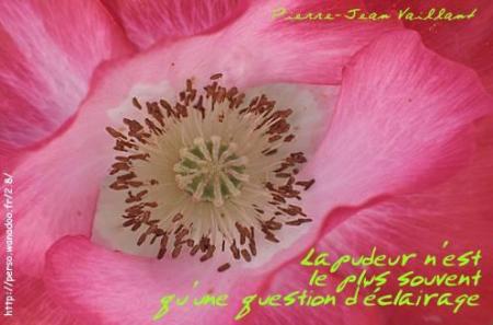 Pudeur...