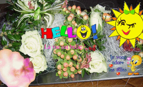 Sourire est un Tr�sor ...BISOUSSS les Ami