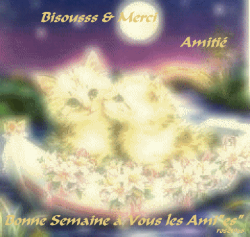 Bisousss les Ami