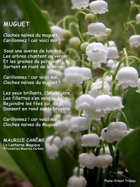 Pti'  Cloches na�ves du Muguet !