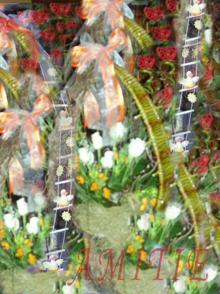 Un avant Go�t !!!  Amiti�...