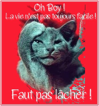 Message de NATHALIE 13 ...