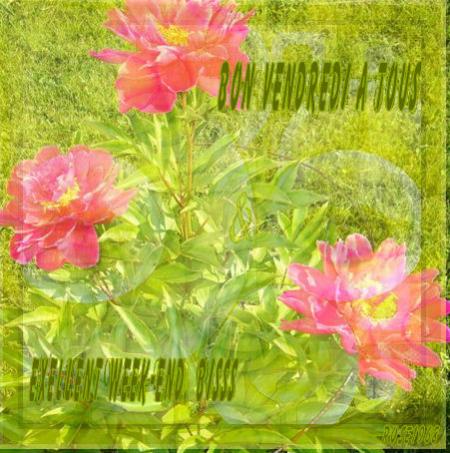 Amiti� ...BISOUSSS & passez un bon Vendredi & un Excellent Week-End Bisss.