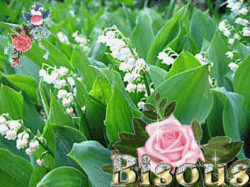 2eme pti' pour Vous :) Amiti�s