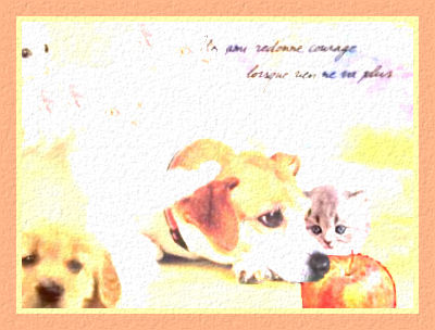 Un peu de Chaleur !  Bisous