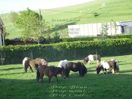 Photo du 21.05.2006  Trop Beauxxx