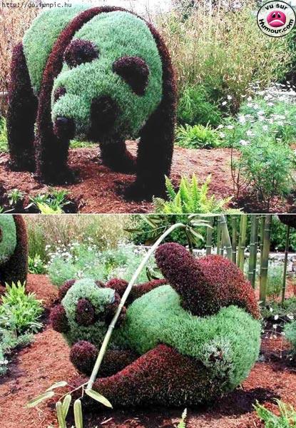 Un Pti' Panda pour Vous Bisous...