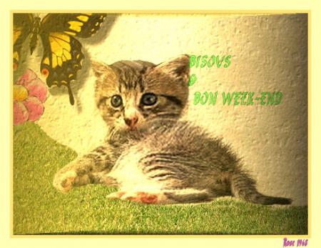Bon WEEK-END � Tous...