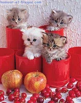 Trop MIMI Bisousssss  � Vous Tous