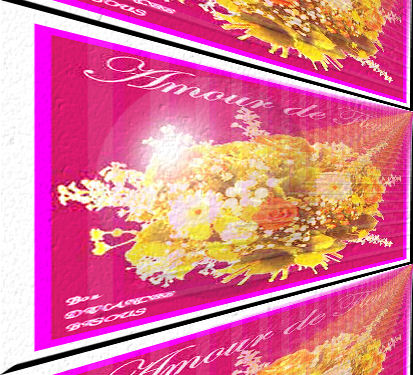 Amour des Fleurs...Exellente Journ�e