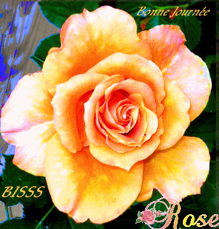 Tr�s Bonne Semaine � Vous Tous les Ami