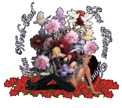 Merci pour Tout les Ami