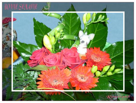 Bon D�but de Semaine � Vous Tous. BISSS