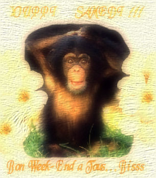 Bon Week - End � Tous. Bisss