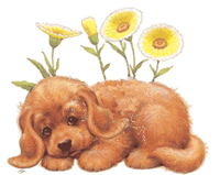 Coucou & Salut bon D�but de Semaine � Tous et Merci pour Tout...