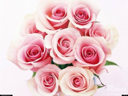 Bisous & Merci � V�ro. Magnifique Bouquet. Bisss