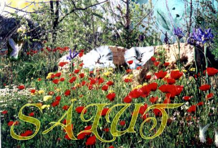 Salut tout le Monde Wowww avec le Soleil cette Fois!