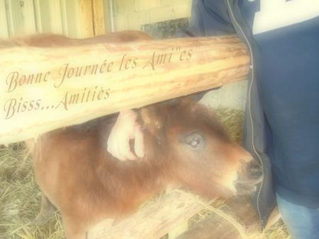 Pleurer de Joie... Amiti� ...BISOUSSS