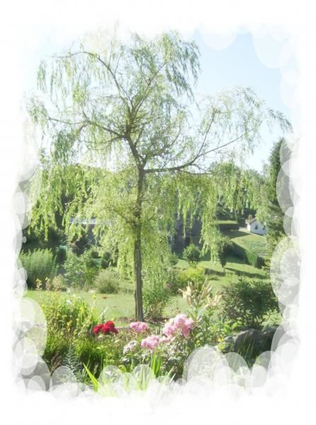 Bisous � Tous & Toutes. Bonne Fin de Journ�e Bisss a+