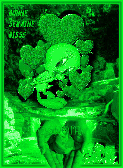 Bonne Semaine Bisss � Tous ...