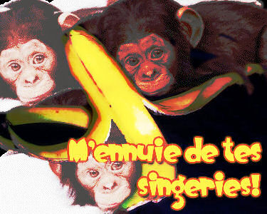 Mdrrrr.............Bisss & Bon Week- End � Tous a+