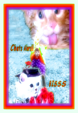 Merci pour tout en toute AMITIE. BISSS