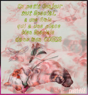 Grand MERCI de tout Coeur les Ami