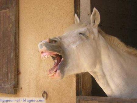 Mdrrrr.............Bisss