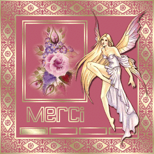 Mille Merci pour Tout les Ami