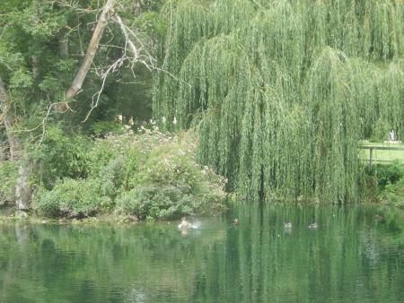 Magnifique :) Au nom de la Rose... Bisss mes Ami