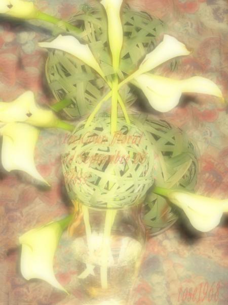 Reprise du 1er Cour Floral de Septembre 06 Bisss