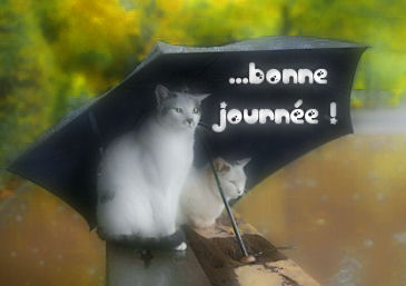 Bonne Journ�e les Ami