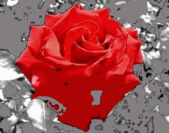 Excellent Mercredi � Vous les Ami