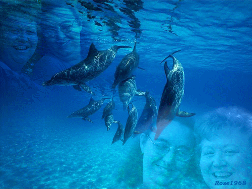 Excellente Journ�e & Bon d�but de Week-End...Bisss