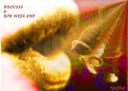 Bisousss & Excellent Week-End les Ami