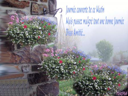 Apr�s la Brume du Matin, le grand Soleil Bisss passez une bonne Journ�e....