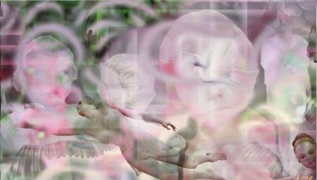 Bonne journ�e les Ami