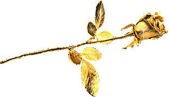 Rose1968. Grand MERCI pour Tout les Ami