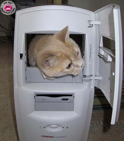 Coucou...Bon D�but de Semaine les Ami