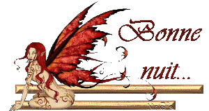 BONNE  NUIT ...