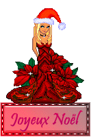 JOYEUX NO�L