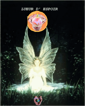 Lueur d'espoir ...Paix sur Terre pour NO�L...Bisss