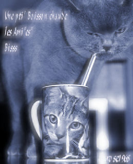 Passez une Tr�s Bonne Fin de Journ�e les Ami